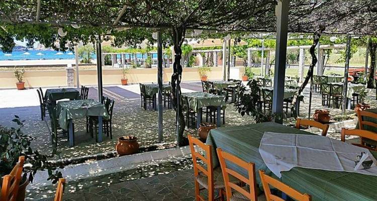 &laquo;&Gamma;&iota;&alpha;&nu;&nu;ά&kappa;&alpha;&rho;&omicron;&sigmaf;&raquo; &sigma;&tau;&omicron; &Theta;ά&nu;&omicron;&sigmaf;: &Kappa;ά&theta;&epsilon; &mu;έ&rho;&alpha; &tau;&omicron;&upsilon; &kappa;&alpha;&lambda;&omicron;&kappa;&alpha;&iota;&rho;&iota;&omicron;ύ &delta;&eta;&mu;&iota;&omicron;&upsilon;&rho;&gamma;&omicron;ύ&mu;&epsilon; &mu;&alpha;&zeta;ί &tau;&iota;&sigmaf; &pi;&iota;&omicron; ό&mu;&omicron;&rho;&phi;&epsilon;&sigmaf; &alpha;&nu;&alpha;&mu;&nu;ή&sigma;&epsilon;&iota;&sigmaf;!