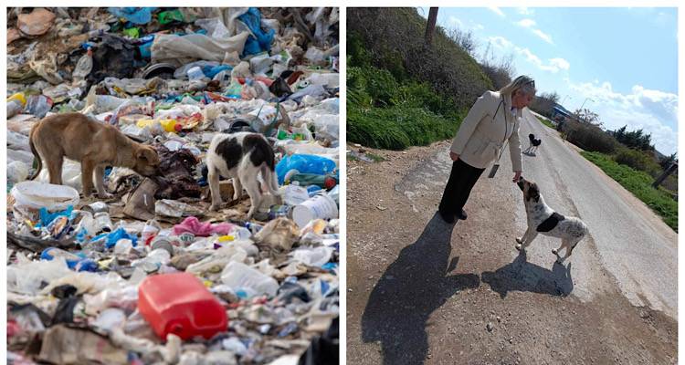 &Eta; &Pi;&rho;ό&epsilon;&delta;&rho;&omicron;&sigmaf; &tau;&eta;&sigmaf; &Pi;&Phi;&Pi;&Omicron; Ά&nu;&nu;&alpha; &Tau;&omicron;&sigma;&omicron;ύ&nu;&omicron;&gamma;&lambda;&omicron;&upsilon; &sigma;&epsilon; &epsilon;&pi;&iota;&tau;ό&pi;&iota;&alpha; &epsilon;&pi;ί&sigma;&kappa;&epsilon;&psi;&eta; &sigma;&tau;&eta; &chi;&omega;&mu;&alpha;&tau;&epsilon;&rho;ή &tau;&eta;&sigmaf; &Xi;ά&nu;&theta;&eta;&sigmaf; ό&pi;&omicron;&upsilon; &zeta;&omicron;&upsilon;&nu; 200 &epsilon;&xi;&alpha;&theta;&lambda;&iota;&omega;&mu;έ&nu;&alpha; &alpha;&delta;έ&sigma;&pi;&omicron;&tau;&alpha; &sigma;&kappa;&upsilon;&lambda;&iota;ά
