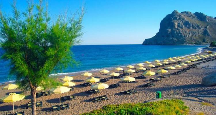 &Omicron;&iota; &tau;&iota;&mu;έ&sigmaf; &tau;&omega;&nu; &omicron;&rho;&gamma;&alpha;&nu;&omega;&mu;έ&nu;&omega;&nu; &delta;&iota;&alpha;&kappa;&omicron;&pi;ώ&nu; &sigma;&tau;&eta;&nu; &Epsilon;&lambda;&lambda;ά&delta;&alpha;, &tau;&eta;&nu; &Iota;&sigma;&pi;&alpha;&nu;ί&alpha; &kappa;&alpha;&iota; &tau;&eta;&nu; &Tau;&omicron;&upsilon;&rho;&kappa;ί&alpha; &epsilon;&kappa;&tau;&iota;&nu;ά&chi;&theta;&eta;&kappa;&alpha;&nu; &sigma;&tau;&alpha; ύ&psi;&eta;