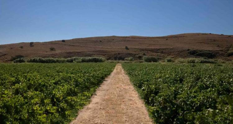 &Alpha;&pi;ό 1&eta; &Sigma;&epsilon;&pi;&tau;&epsilon;&mu;&beta;&rho;ί&omicron;&upsilon; &omicron;&iota; &alpha;&iota;&tau;ή&sigma;&epsilon;&iota;&sigmaf; &gamma;&iota;&alpha; &tau;&iota;&sigmaf; ά&delta;&epsilon;&iota;&epsilon;&sigmaf; &phi;ύ&tau;&epsilon;&upsilon;&sigma;&eta;&sigmaf; &alpha;&mu;&pi;&epsilon;&lambda;ώ&nu;&omega;&nu;