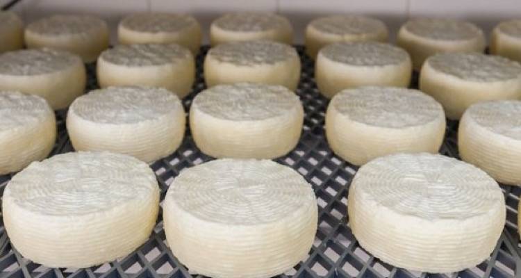 &Kappa;&alpha;&iota; &tau;&omicron; &Mu;&epsilon;&lambda;ί&chi;&lambda;&omega;&rho;&omicron; &Lambda;ή&mu;&nu;&omicron;&upsilon; &sigma;ύ&nu;&tau;&omicron;&mu;&alpha; &sigma;&tau;&alpha; &epsilon;&lambda;&lambda;&eta;&nu;&iota;&kappa;ά &Pi;&Omicron;&Pi; &tau;&upsilon;&rho;&iota;ά