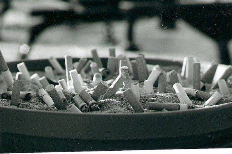 &Kappa;&omicron;&rho;ό&iota;&delta;&alpha; &kappa;&alpha;&iota; &epsilon;&xi;&alpha;&iota;&rho;έ&sigma;&epsilon;&iota;&sigmaf;