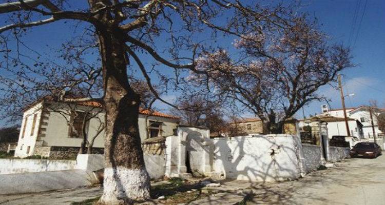 &Phi;&iota;&lambda;&alpha;&nu;&theta;&rho;&omega;&pi;&iota;&kappa;ή &epsilon;&kappa;&delta;ή&lambda;&omega;&sigma;&eta; &sigma;&tau;&iota;&sigmaf; &Alpha;&gamma;&kappa;&alpha;&rho;&upsilon;ώ&nu;&epsilon;&sigmaf; &mu;&epsilon; ά&rho;&omega;&mu;&alpha; &Alpha;&gamma;ί&omicron;&upsilon; Ό&rho;&omicron;&upsilon;&sigmaf;