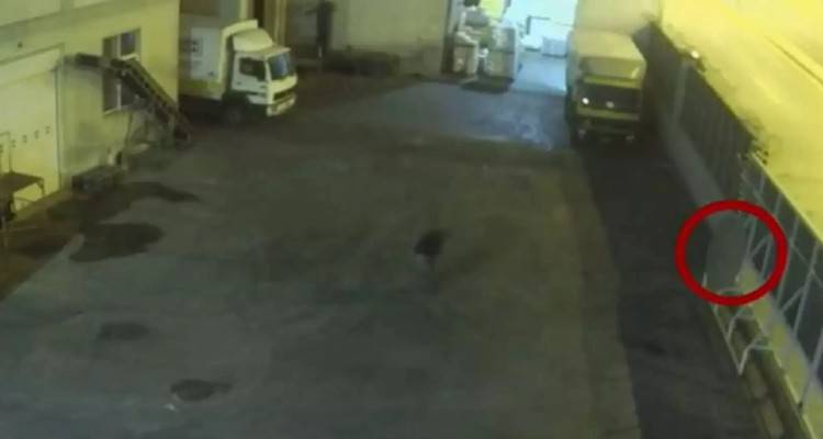 Κερατσίνι: Η αδιαφορία σκότωσε την μικρή Όλγα - Περνούσαν δίπλα της ενώ ψυχορραγούσε