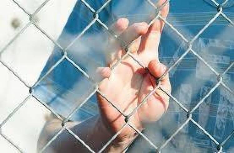 &Eta; &laquo;&pi;&rho;ό&beta;&alpha; &tau;&zeta;&epsilon;&nu;&epsilon;&rho;ά&lambda;&epsilon;&raquo; &pi;έ&tau;&upsilon;&chi;&epsilon; | &Kappa;&iota; ά&lambda;&lambda;&omicron;&iota; &pi;&alpha;&rho;ά&nu;&omicron;&mu;&omicron;&iota; &mu;&epsilon;&tau;&alpha;&nu;ά&sigma;&tau;&epsilon;&sigmaf; &sigma;&upsilon;&nu;&epsilon;&lambda;ή&phi;&theta;&eta;&sigma;&alpha;&nu; &sigma;&tau;&eta;&nu; &Pi;&lambda;ά&kappa;&alpha;