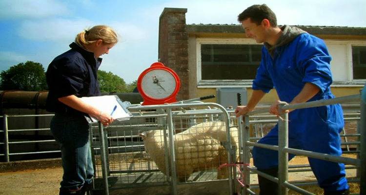 Στο νέο της κτίριο πια η Κτηνιατρική Υπηρεσία Λήμνου