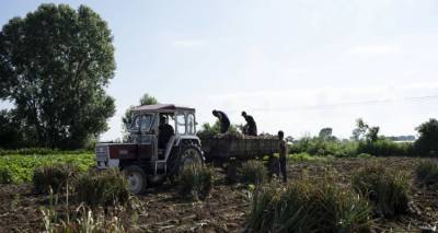 Υπ. Αγροτικής Ανάπτυξης: 70 εκατ. ο προϋπολογισμός για το πρόγραμμα της Ευρωπαϊκής Σύμπραξης καινοτομίας