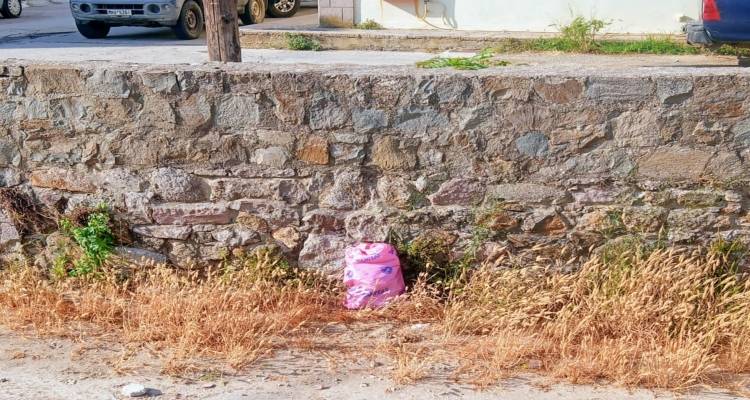 Έ&kappa;&kappa;&lambda;&eta;&sigma;&eta; &tau;&omicron;&upsilon; Έ&pi;&alpha;&rho;&chi;&omicron;&upsilon; &Lambda;ή&mu;&nu;&omicron;&upsilon; &gamma;&iota;&alpha; &sigma;&epsilon;&beta;&alpha;&sigma;&mu;ό &kappa;&alpha;&iota; &kappa;&alpha;&theta;&alpha;&rho;&iota;ό&tau;&eta;&tau;&alpha; &sigma;&tau;&alpha; &rho;&upsilon;ά&kappa;&iota;&alpha; &tau;&omicron;&upsilon; &nu;&eta;&sigma;&iota;&omicron;ύ