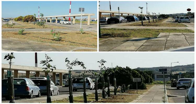 &Sigma;&pi;&omicron;&upsilon;&delta;&alpha;ί&alpha; &kappa;ί&nu;&eta;&sigma;&eta; &alpha;&pi;ό &tau;&omicron;&upsilon;&sigmaf; &epsilon;&pi;&alpha;&gamma;&gamma;&epsilon;&lambda;&mu;&alpha;&tau;ί&epsilon;&sigmaf; &omicron;&delta;&eta;&gamma;&omicron;ύ&sigmaf; &tau;&alpha;&xi;ί &tau;&eta;&sigmaf; &Lambda;ή&mu;&nu;&omicron;&upsilon; | &Delta;&epsilon;&nu;&tau;&rho;&omicron;&phi;ύ&tau;&epsilon;&upsilon;&sigma;&eta; &sigma;&tau;&omicron; &alpha;&epsilon;&rho;&omicron;&delta;&rho;ό&mu;&iota;&omicron; &tau;&omicron;&upsilon; &nu;&eta;&sigma;&iota;&omicron;ύ