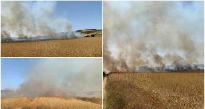 &Upsilon;&pi;ό έ&lambda;&epsilon;&gamma;&chi;&omicron; &eta; &phi;&omega;&tau;&iota;ά &sigma;&tau;&omicron; &Pi;&rho;&omicron;&pi;&omicron;ύ&lambda;&iota; | &Kappa;ά&eta;&kappa;&alpha;&nu; 40 &sigma;&tau;&rho;έ&mu;&mu;&alpha;&tau;&alpha; &alpha;&theta;έ&rho;&iota;&sigma;&tau;&alpha; &sigma;&iota;&tau;&eta;&rho;ά