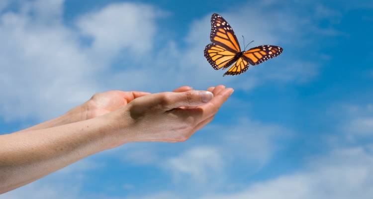 Η ζωή στο εδώ και τώρα