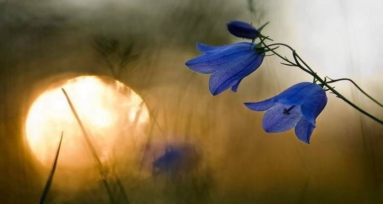 &Sigma;&kappa;έ&psi;&epsilon;&iota;&sigmaf; &pi;&epsilon;&rho;ί&hellip; &theta;&epsilon;&tau;&iota;&kappa;ή&sigmaf; &sigma;&kappa;έ&psi;&eta;&sigmaf;