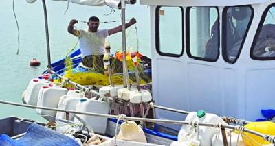 &Alpha;&lambda;&iota;&epsilon;ί&sigmaf; &Lambda;ή&mu;&nu;&omicron;&upsilon;: &Zeta;&eta;&tau;&omicron;ύ&nu; &tau;&eta; &sigma;&tau;ή&rho;&iota;&xi;&eta; &tau;&eta;&sigmaf; &Pi;&epsilon;&rho;&iota;&phi;έ&rho;&epsilon;&iota;&alpha;&sigmaf; &gamma;&iota;&alpha; &tau;&alpha; &pi;&rho;&omicron;&beta;&lambda;ή&mu;&alpha;&tau;&alpha; &tau;&omicron;&upsilon; &kappa;&lambda;ά&delta;&omicron;&upsilon; &tau;&omicron;&upsilon;&sigmaf;