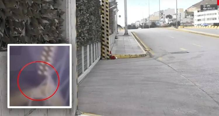 &Kappa;&epsilon;&rho;&alpha;&tau;&sigma;ί&nu;&iota;: &Sigma;&upsilon;&gamma;&kappa;&lambda;&omicron;&nu;&iota;&sigma;&tau;&iota;&kappa;ά &sigma;&tau;&omicron;&iota;&chi;&epsilon;ί&alpha; &gamma;&iota;&alpha; &tau;&omicron;&nu; &theta;ά&nu;&alpha;&tau;&omicron; &tau;&eta;&sigmaf; 8&chi;&rho;&omicron;&nu;&eta;&sigmaf; | &Pi;ώ&sigmaf; &sigma;&phi;ή&nu;&omega;&sigma;&epsilon; &sigma;&tau;&eta;&nu; &pi;ό&rho;&tau;&alpha; &tau;&omicron;&upsilon; &epsilon;&rho;&gamma;&omicron;&sigma;&tau;&alpha;&sigma;ί&omicron;&upsilon;