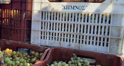 &Mu;&epsilon; &upsilon;&psi;&eta;&lambda;έ&sigmaf; &pi;&rho;&omicron;&sigma;&delta;&omicron;&kappa;ί&epsilon;&sigmaf; &omicron; &tau;&rho;ύ&gamma;&omicron;&sigmaf; &sigma;&tau;&eta; &Lambda;ή&mu;&nu;&omicron;, &sigma;&tau;&alpha; &kappa;&alpha;&lambda;ύ&tau;&epsilon;&rho;&alpha; &tau;&omicron;&upsilon; &tau;&omicron; &Lambda;&eta;&mu;&nu;&iota;ό