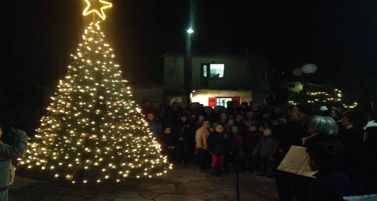 Ο Μούδρος ανάβει το χριστουγεννιάτικο δέντρο του