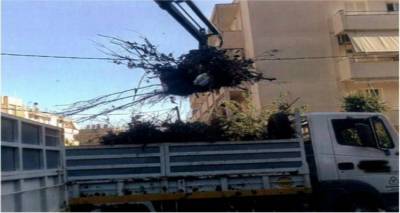 &Kappa;ά&theta;&epsilon; &Tau;&rho;ί&tau;&eta; &kappa;&alpha;&iota; &Pi;έ&mu;&pi;&tau;&eta; &eta; &sigma;&upsilon;&lambda;&lambda;&omicron;&gamma;ή &kappa;&lambda;&alpha;&delta;&iota;ώ&nu; &alpha;&pi;ό &tau;&omicron; &Delta;ή&mu;&omicron; &Lambda;ή&mu;&nu;&omicron;&upsilon;