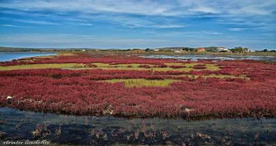 Η Λήμνος το Φθινόπωρο: περιοχή Κουκονήσι.