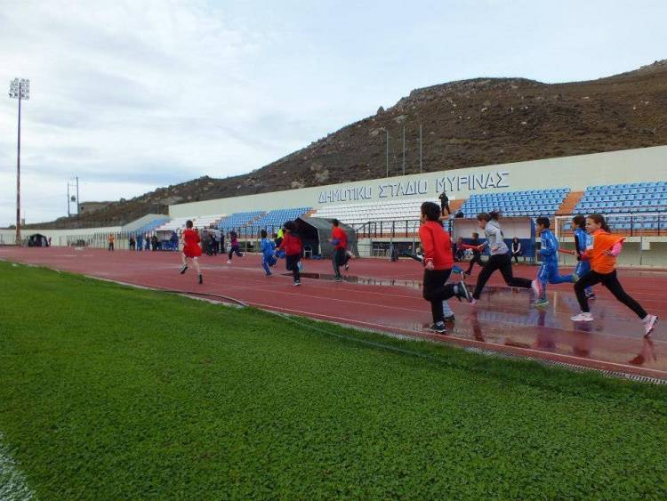 &Tau;&alpha; &alpha;&pi;&omicron;&tau;&epsilon;&lambda;έ&sigma;&mu;&alpha;&tau;&alpha; &tau;&eta;&sigmaf; &pi;&rho;ώ&tau;&eta;&sigmaf; &laquo;&Lambda;&eta;&mu;&nu;&iota;&alpha;&kappa;ή&sigmaf; &Sigma;&kappa;&upsilon;&tau;&alpha;&lambda;&omicron;&delta;&rho;&omicron;&mu;ί&alpha;&sigmaf; &Zeta;&omega;ή&sigmaf;&raquo;