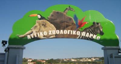 &Sigma;&tau;&omicron; &mu;&iota;&kappa;&rho;&omicron;&sigma;&kappa;ό&pi;&iota;&omicron; &omicron;&iota; &sigma;&upsilon;&nu;&theta;ή&kappa;&epsilon;&sigmaf; &theta;&alpha;&nu;ά&tau;&omicron;&upsilon; &tau;&omicron;&upsilon; &chi;&iota;&mu;&pi;&alpha;&tau;&zeta;ή &sigma;&tau;&omicron; &Alpha;&tau;&tau;&iota;&kappa;ό &Pi;ά&rho;&kappa;&omicron; -&Kappa;&upsilon;&beta;&epsilon;&rho;&nu;&eta;&tau;&iota;&kappa;ή &pi;&alpha;&rho;έ&mu;&beta;&alpha;&sigma;&eta; &kappa;&alpha;&iota; &epsilon;&pi;&iota;&sigma;&tau;&omicron;&lambda;ή &Alpha;&mu;&upsilon;&rho;ά