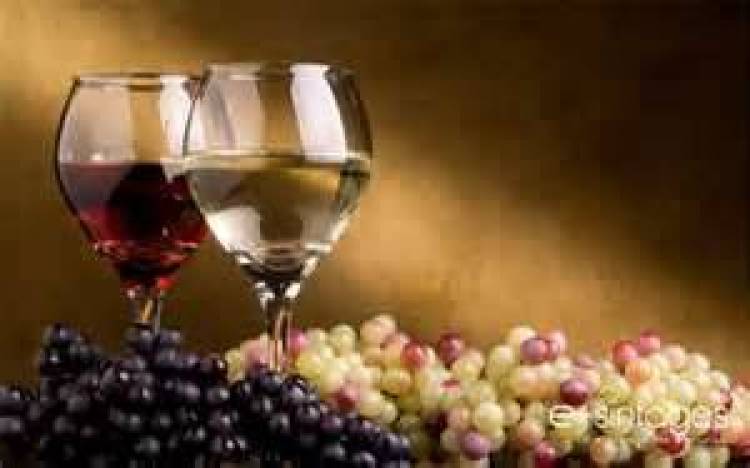 Το ελληνικό wine bar του Βελγίου