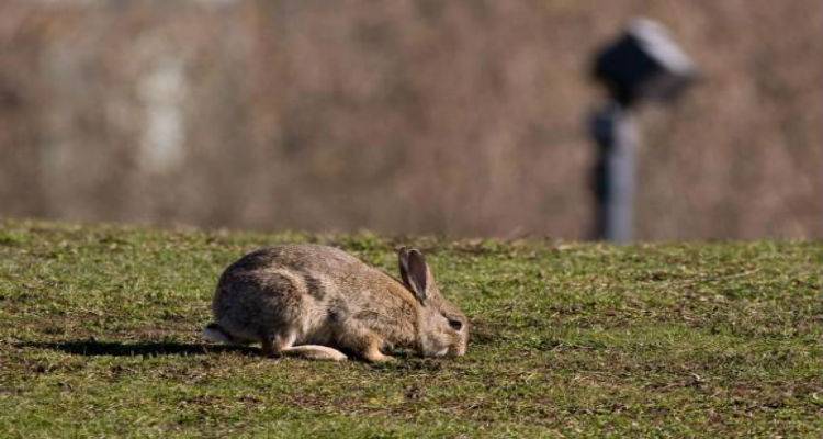 &Alpha;&gamma;&rho;&omicron;&tau;&iota;&kappa;ό&sigmaf; &Sigma;&upsilon;&nu;&epsilon;&tau;&alpha;&iota;&rho;&iota;&sigma;&mu;ό&sigmaf; &Kappa;&omicron;&nu;&tau;&omicron;&pi;&omicron;&upsilon;&lambda;ί&omicron;&upsilon;: &laquo;&Sigma;&alpha;&sigmaf; &epsilon;&upsilon;&chi;&alpha;&rho;&iota;&sigma;&tau;&omicron;ύ&mu;&epsilon; &gamma;&iota;&alpha; &tau;&eta;&nu; &alpha;&delta;&iota;&alpha;&phi;&omicron;&rho;ί&alpha; &sigma;&alpha;&sigmaf;&raquo;
