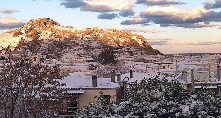 &Pi;&rho;&omicron; &tau;&omega;&nu; &pi;&upsilon;&lambda;ώ&nu; &tau;&omicron; &kappa;ύ&mu;&alpha; &psi;ύ&chi;&omicron;&upsilon;&sigmaf; &sigma;&tau;&eta; &Lambda;ή&mu;&nu;&omicron; | &Chi;&iota;ό&nu;&iota;&alpha; &sigma;&tau;&alpha; &omicron;&rho;&epsilon;&iota;&nu;ά &kappa;&alpha;&iota; &theta;&upsilon;&epsilon;&lambda;&lambda;ώ&delta;&epsilon;&iota;&sigmaf; ά&nu;&epsilon;&mu;&omicron;&iota;