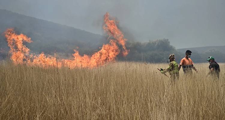 &Epsilon;&kappa;&kappa;&epsilon;&nu;ώ&nu;&epsilon;&tau;&alpha;&iota; &tau;&omicron; &Pi;ό&rho;&tau;&omicron; &Gamma;&epsilon;&rho;&mu;&epsilon;&nu;ό: &Alpha;&pi;&omicron;&mu;&alpha;&kappa;&rho;ύ&nu;&theta;&eta;&kappa;&alpha;&nu; 229 &pi;&omicron;&lambda;ί&tau;&epsilon;&sigmaf; &mu;&epsilon; &pi;&lambda;&omega;&tau;ά &sigma;&kappa;ά&phi;&eta; -&laquo;&Mu;&pi;&alpha;&rho;ά&zeta;&raquo; 112 &sigma;&tau;&omicron; &Rho;έ&theta;&upsilon;&mu;&nu;&omicron;, &tau;&alpha; &upsilon;&pi;ό&lambda;&omicron;&iota;&pi;&alpha; &mu;έ&tau;&omega;&pi;&alpha;