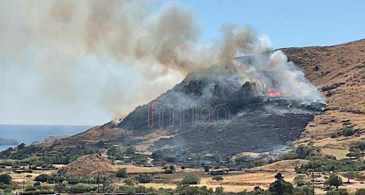 Φωτιά στο Θάνος: Συνεχείς αναζωπυρώσεις | Παραμένουν πυροσβεστικές δυνάμεις στο σημείο