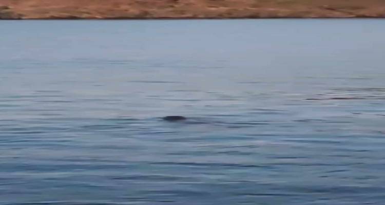 &Lambda;ή&mu;&nu;&omicron;&sigmaf;: &Pi;&rho;&omega;&iota;&nu;ό&sigmaf; &epsilon;&pi;&iota;&sigma;&kappa;έ&pi;&tau;&eta;&sigmaf; | &Mu;&iota;&alpha; &phi;ώ&kappa;&iota;&alpha; &sigma;&tau;&omicron; &lambda;&iota;&mu;ά&nu;&iota; &mu;&alpha;&sigmaf; (video)