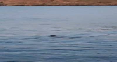 &Lambda;ή&mu;&nu;&omicron;&sigmaf;: &Pi;&rho;&omega;&iota;&nu;ό&sigmaf; &epsilon;&pi;&iota;&sigma;&kappa;έ&pi;&tau;&eta;&sigmaf; | &Mu;&iota;&alpha; &phi;ώ&kappa;&iota;&alpha; &sigma;&tau;&omicron; &lambda;&iota;&mu;ά&nu;&iota; &mu;&alpha;&sigmaf; (video)