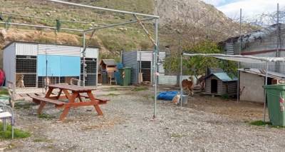 Ά&nu;&nu;&alpha; &Tau;&omicron;&sigma;&omicron;ύ&nu;&omicron;&gamma;&lambda;&omicron;&upsilon;: &Alpha;&phi;&omicron;ύ &delta;&epsilon;&nu; &upsilon;&pi;ά&rho;&chi;&epsilon;&iota; &mu;έ&rho;&iota;&mu;&nu;&alpha; &gamma;&iota;&alpha; &tau;&eta; &phi;&rho;&omicron;&nu;&tau;ί&delta;&alpha; &tau;&omega;&nu; &zeta;ώ&omega;&nu;, &nu;&alpha; &epsilon;&pi;&alpha;&nu;&epsilon;&nu;&tau;&alpha;&chi;&theta;&omicron;ύ&nu; &sigma;&tau;&eta;&nu; &kappa;&omicron;&iota;&nu;ό&tau;&eta;&tau;&alpha;