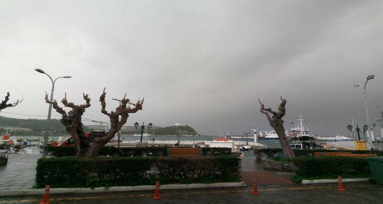 &Eta; &alpha;&phi;&rho;&iota;&kappa;&alpha;&nu;&iota;&kappa;ή &sigma;&kappa;ό&nu;&eta;&hellip; έ&phi;&tau;&alpha;&sigma;&epsilon; &Lambda;ή&mu;&nu;&omicron;