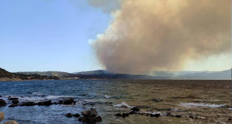 &Phi;&omega;&tau;&iota;ά &sigma;&tau;&alpha; &Beta;&alpha;&tau;&epsilon;&rho;ά &Lambda;έ&sigma;&beta;&omicron;&upsilon; | &Mu;ή&nu;&upsilon;&mu;&alpha; &gamma;&iota;&alpha; &epsilon;&kappa;&kappa;έ&nu;&omega;&sigma;&eta; | &Delta;&epsilon;ί&tau;&epsilon; &beta;ί&nu;&tau;&epsilon;&omicron;