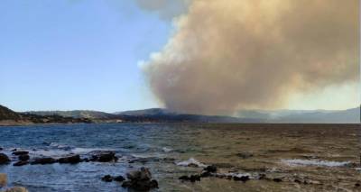 &Phi;&omega;&tau;&iota;ά &sigma;&tau;&alpha; &Beta;&alpha;&tau;&epsilon;&rho;ά &Lambda;έ&sigma;&beta;&omicron;&upsilon; | &Mu;ή&nu;&upsilon;&mu;&alpha; &gamma;&iota;&alpha; &epsilon;&kappa;&kappa;έ&nu;&omega;&sigma;&eta; | &Delta;&epsilon;ί&tau;&epsilon; &beta;ί&nu;&tau;&epsilon;&omicron;