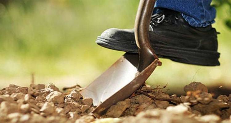 &Delta;&iota;&epsilon;&upsilon;&kappa;&rho;&iota;&nu;ή&sigma;&epsilon;&iota;&sigmaf; &zeta;&eta;&tau;ά &omicron; &Omicron;&Pi;&Epsilon;&Kappa;&Epsilon;&Pi;&Epsilon; &gamma;&iota;&alpha; &tau;&omicron;&upsilon;&sigmaf; &alpha;&iota;&tau;&omicron;ύ&nu;&tau;&epsilon;&sigmaf; &Epsilon;&xi;&iota;&sigma;&omega;&tau;&iota;&kappa;ή&sigmaf; &Alpha;&pi;&omicron;&zeta;&eta;&mu;ί&omega;&sigma;&eta;&sigmaf;