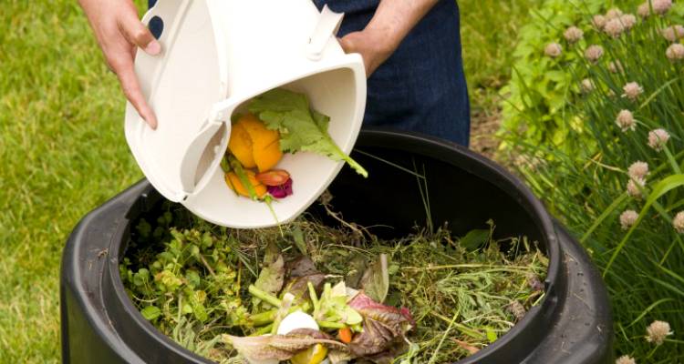 Ο αντιδήμαρχος Γ. Ποντίκας στον FM 100: Όσα πρέπει να ξέρετε για την οικιακή κομποστοποίηση που ήρθε στη Λήμνο (mp3)