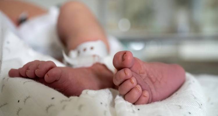 Κύκλωμα παράνομων υιοθεσιών: Ελεύθεροι μέχρι τη δίκη οι δύο γυναικολόγοι -Κατέβαλαν εγγυήσεις-μαμούθ
