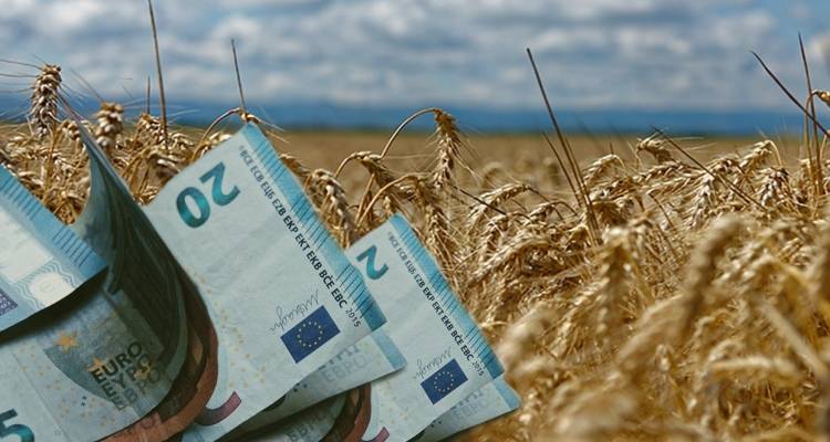 &Kappa;ί&nu;&delta;&upsilon;&nu;&omicron;&sigmaf; &alpha;&pi;ώ&lambda;&epsilon;&iota;&alpha;&sigmaf; &alpha;&gamma;&rho;&omicron;&tau;&iota;&kappa;ώ&nu; &epsilon;&nu;&iota;&sigma;&chi;ύ&sigma;&epsilon;&omega;&nu; &alpha;&pi;ό &lambda;ά&theta;&eta; &tau;&omicron;&upsilon; &Kappa;&tau;&eta;&mu;&alpha;&tau;&omicron;&lambda;&omicron;&gamma;ί&omicron;&upsilon; &sigma;&epsilon; &Lambda;έ&sigma;&beta;&omicron; &kappa;&alpha;&iota; &Chi;ί&omicron;