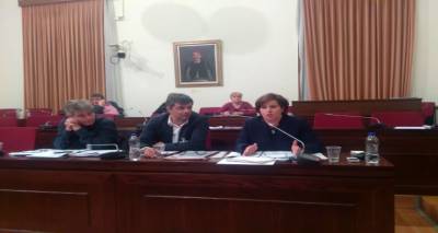 H Περιφερειάρχης Βορείου Αιγαίου στην Ειδική Μόνιμη Επιτροπή Περιφερειών της Βουλής.