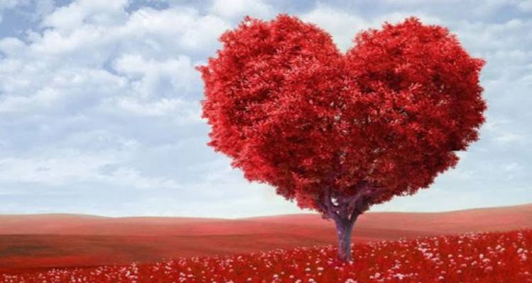 &Pi;&alpha;&gamma;&kappa;ό&sigma;&mu;&iota;&alpha; &eta;&mu;έ&rho;&alpha; &tau;&omicron;&upsilon; &Epsilon;&theta;&epsilon;&lambda;&omicron;&nu;&tau;ή &Alpha;&iota;&mu;&omicron;&delta;ό&tau;&eta;: &Tau;&omicron; "&Epsilon;&upsilon;&chi;&alpha;&rho;&iota;&sigma;&tau;ώ" &tau;&omicron;&upsilon; &Theta;. &Mu;&pi;&alpha;&beta;έ&alpha;