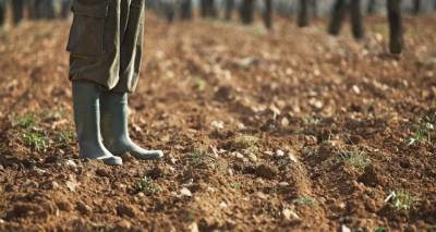 ΟΠΕΚΕΠΕ: Το πάρτι με τις επιδοτήσεις -72χρονος από την Κοζάνη έβγαλε 1 εκατομμύριο, 69χρονος από τα Τρίκαλα 620.000