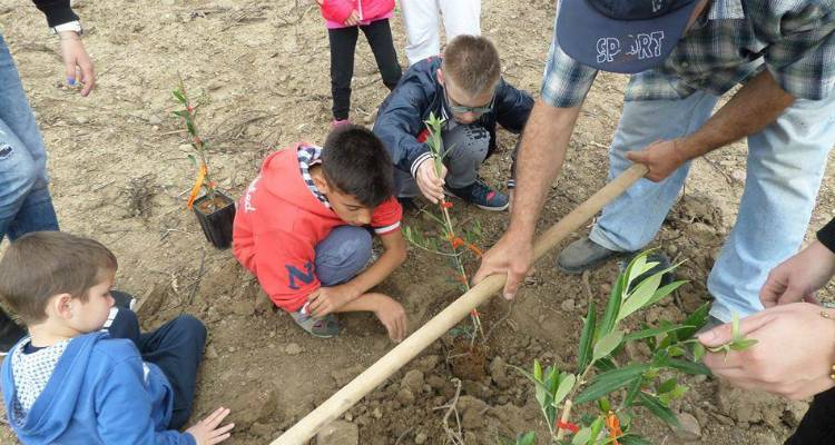 &Pi;&alpha;&iota;&chi;&nu;ί&delta;&iota;&alpha; &sigma;&tau;&eta; &phi;ύ&sigma;&eta; &gamma;&iota;&alpha; &tau;&omicron; &Epsilon;&iota;&delta;&iota;&kappa;ό &Sigma;&chi;&omicron;&lambda;&epsilon;ί&omicron; &Kappa;&alpha;&lambda;&lambda;&iota;&theta;έ&alpha;&sigmaf; &Lambda;ή&mu;&nu;&omicron;&upsilon;