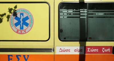 &Sigma;&kappa;ύ&lambda;&omicron;&sigmaf; &delta;ά&gamma;&kappa;&omega;&sigma;&epsilon; 2 &epsilon;&tau;ώ&nu; &kappa;&omicron;&rho;&iota;&tau;&sigma;ά&kappa;&iota; &sigma;&tau;&omicron; &kappa;&epsilon;&phi;ά&lambda;&iota;, &sigma;&tau;&omicron;&nu; &Pi;&epsilon;&iota;&rho;&alpha;&iota;ά -&Mu;έ&sigma;&alpha; &sigma;&tau;&omicron; &sigma;&pi;ί&tau;&iota; &tau;&eta;&sigmaf; &gamma;&iota;&alpha;&gamma;&iota;ά&sigmaf;
