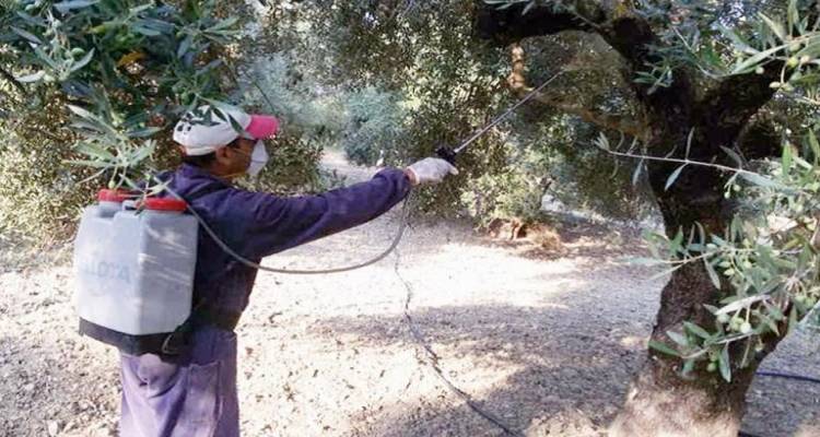 &Lambda;ή&mu;&nu;&omicron;&sigmaf;: &Xi;&epsilon;&kappa;&iota;&nu;ά &omicron; 2&omicron;&sigmaf; &kappa;ύ&kappa;&lambda;&omicron;&sigmaf; &psi;&epsilon;&kappa;&alpha;&sigma;&mu;ώ&nu; &delta;&alpha;&kappa;&omicron;&kappa;&tau;&omicron;&nu;ί&alpha;&sigmaf; | &Tau;&omicron; &alpha;&nu;&alpha;&lambda;&upsilon;&tau;&iota;&kappa;ό &pi;&rho;ό&gamma;&rho;&alpha;&mu;&mu;&alpha; &alpha;&nu;ά &kappa;&omicron;&iota;&nu;ό&tau;&eta;&tau;&alpha;