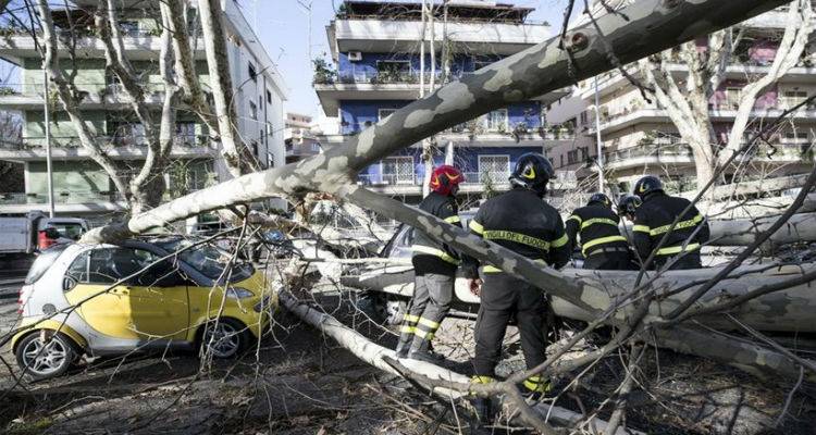 &Omicron;&kappa;&tau;ώ &omicron;&iota; &nu;&epsilon;&kappa;&rho;&omicron;ί &alpha;&pi;ό &tau;&eta; &sigma;&phi;&omicron;&delta;&rho;ή &kappa;&alpha;&kappa;&omicron;&kappa;&alpha;&iota;&rho;ί&alpha; &pi;&omicron;&upsilon; &pi;&lambda;ή&tau;&tau;&epsilon;&iota; &tau;&eta;&nu; &Epsilon;&upsilon;&rho;ώ&pi;&eta;
