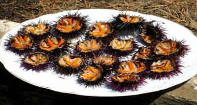 &Alpha;&lambda;&iota;&epsilon;ί&alpha; &alpha;&chi;&iota;&nu;ώ&nu; &sigma;&tau;&eta; &Lambda;ή&mu;&nu;&omicron;: &Alpha;&nu;&alpha;&kappa;&omicron;ί&nu;&omega;&sigma;&eta; &alpha;&pi;ό &Epsilon;&pi;&alpha;&rho;&chi;&epsilon;ί&omicron; &kappa;&alpha;&iota; &Lambda;&iota;&mu;&epsilon;&nu;&alpha;&rho;&chi;&epsilon;ί&omicron; &gamma;&iota;&alpha; &tau;&omicron; &tau;&iota; &theta;&alpha; &iota;&sigma;&chi;ύ&sigma;&epsilon;&iota; &phi;έ&tau;&omicron;&sigmaf;