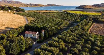 &Tau;ά&sigma;&eta;&sigmaf; &kappa;&alpha;&iota; &Rho;έ&nu;&alpha;: &Gamma;&nu;&omega;&rho;ί&sigma;&tau;&epsilon; &tau;&omicron; &Pi;&rho;&omega;&tau;&omicron;&pi;ό&rho;&omicron; &zeta;&epsilon;&upsilon;&gamma;ά&rho;&iota; &pi;&omicron;&upsilon; &epsilon;&iota;&sigma;ή&gamma;&alpha;&gamma;&epsilon; &tau;&eta;&nu; &kappa;&alpha;&lambda;&lambda;&iota;έ&rho;&gamma;&epsilon;&iota;&alpha; &tau;&eta;&sigmaf; &epsilon;&lambda;&iota;ά&sigmaf; &sigma;&tau;&eta; &Lambda;ή&mu;&nu;&omicron;