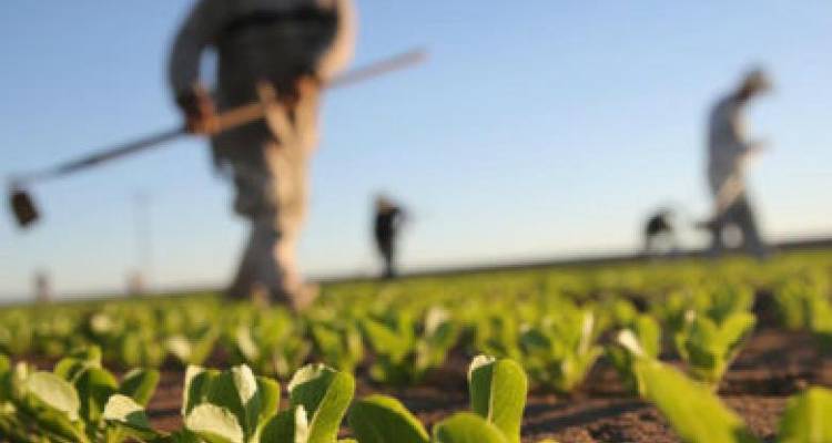 &Epsilon;&Lambda;&Gamma;&Alpha;: &Alpha;&pi;&omicron;&zeta;&eta;&mu;&iota;ώ&sigma;&epsilon;&iota;&sigmaf; 31 &chi;&iota;&lambda;. &epsilon;&upsilon;&rho;ώ &sigma;&epsilon; &alpha;&gamma;&rho;ό&tau;&epsilon;&sigmaf; &kappa;&alpha;&iota; &kappa;&tau;&eta;&nu;&omicron;&tau;&rho;ό&phi;&omicron;&upsilon;&sigmaf; &tau;&omicron;&upsilon; &Nu;&omicron;&mu;&omicron;ύ &Lambda;έ&sigma;&beta;&omicron;&upsilon;