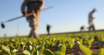 &Epsilon;&Lambda;&Gamma;&Alpha;: &Alpha;&pi;&omicron;&zeta;&eta;&mu;&iota;ώ&sigma;&epsilon;&iota;&sigmaf; 31 &chi;&iota;&lambda;. &epsilon;&upsilon;&rho;ώ &sigma;&epsilon; &alpha;&gamma;&rho;ό&tau;&epsilon;&sigmaf; &kappa;&alpha;&iota; &kappa;&tau;&eta;&nu;&omicron;&tau;&rho;ό&phi;&omicron;&upsilon;&sigmaf; &tau;&omicron;&upsilon; &Nu;&omicron;&mu;&omicron;ύ &Lambda;έ&sigma;&beta;&omicron;&upsilon;